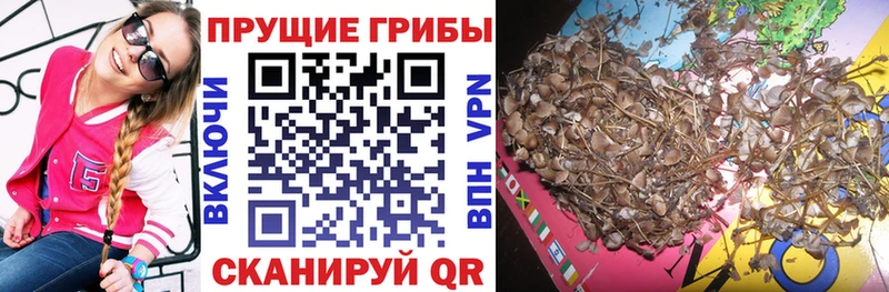 Псилоцибиновые грибы MAGIC MUSHROOMS  купить наркоту  Воркута 
